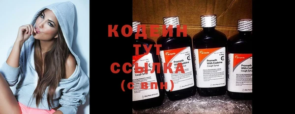 эйфоретик Богданович