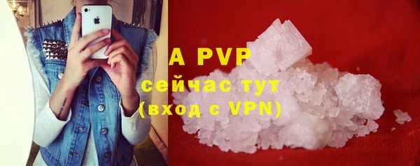 PSILOCYBIN Богородск