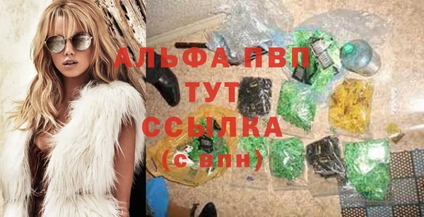 PSILOCYBIN Богородск