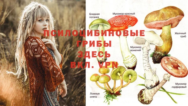 прущие крисы Богородицк